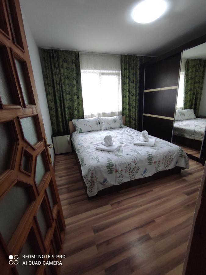 Dayly House Apartament Sulina Exterior foto